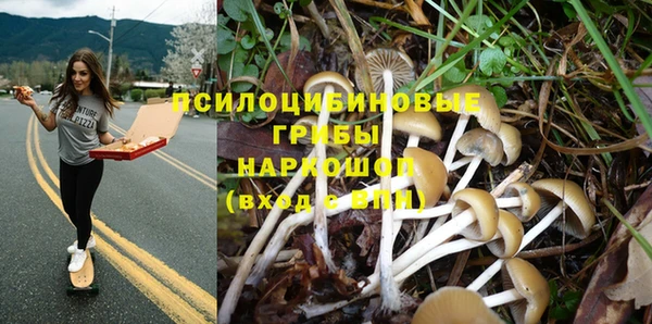 MESCALINE Балахна
